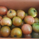 두원리퍼브평택점 이미지