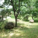 사월동 지석묘군 이미지