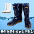 보생