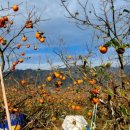 갈밭농장 이미지