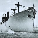 메러디스빅토리 이미지