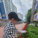 장평초 놀이터 이미지