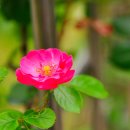 성서고등학교 이미지