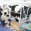 부경목장 이미지