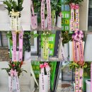 캐슬더샵공인중개사사무소 | 희망더샵캐슬공인중개사사무소로 인사드립니다 :)