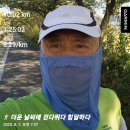 8월07일(월)7회 10km/누적 94km(계곡에 발담그고 여름) 이미지