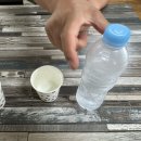 오소재 | 해남맛집 오소재맛집 여름 눈꽃콩국수 내돈내산 후기(여의도 진주집 시청역 진주회관 비교)