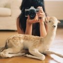 판교종합 동물병원 이미지