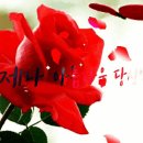 처음으로 외손자를 본 친구 이미지