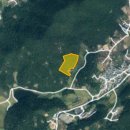 소나무부동산공인중개사사무소 이미지