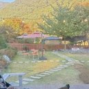 카페옥이네 북스테이 이미지