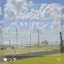 은솔펜션 | 경주 여행 : 시골 감성 가득 감포은솔