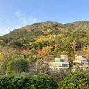 카페오션 - 서귀포시 중문관광로72번길 29-51 | 카페오션