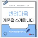 [🐶농심 반려다움] 반려다움 제품을 소개합니다🫶🏻 | 클리어 아이즈 | 조인트 서포트 | 프로바이오틱스