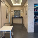 애견가족 이미지