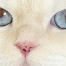 렌즈미 루원시티점 이미지