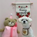 젤리그루밍 이미지