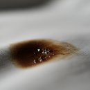 클린하나로(주) | 365클린 만능 수성페인트 얼룩제거제 300ml 솔직 후기