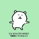 꽃길정육점 | #45. 홍대 PLAY 33 방탈출 <피안화> 후기💮