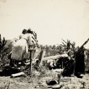 디딜방아 이미지