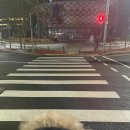 이케아 앞 횡단보도(2) 이미지