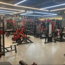 디나휘트니스 이미지