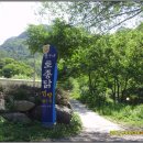 진달래민박 | 오지의 원시림 같은 한석산과 매봉