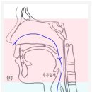 우리연세이비인후과의원 이미지