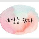 네일;담다 - 통영시 무전4길 29 | 네일;담다