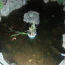 천생산오리사냥 이미지