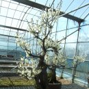 순만농장 이미지