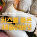 송이상회 - 부여군 중앙로 13 | 송이상회