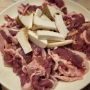 숲속애견샵 이미지