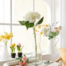 모조하우스 이미지