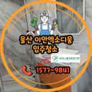울산입주청소 업체 가격 비용 내돈내산 후기 추천합니다