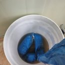 노화읍-1 이미지