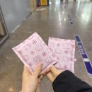 성일카 | 신년 맞이 부산 당일치기 여행｜SRT 타고 금수복국·광안리 겨울바다·송도 타임캡슐까지 완벽 코스