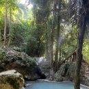 머지고래 이미지