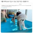 덕분이야모든개 이미지