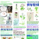 그림과 도자기로 만나는 우리 식물/ 생태 미술 작품 전시회 이미지