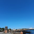 세븐일레븐용인성산점 | #3. 제주도 한달살기 4일차 - 제주도 갈 만한곳 <제주민속촌> 애견동반 /제주도올레길 추천