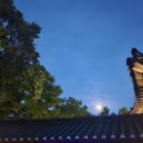 마당극 퍼레이드 | [한국민속촌 방문 후기] 공포체험부터 맛집, 포토존까지! 연인·가족 나들이로 강력 추천!