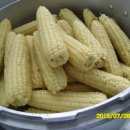 안해님농장 이미지