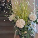 한탄리버스파호텔 이미지