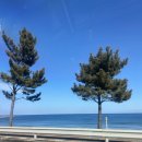 온누리정원약국 이미지