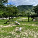 징검다리연구소 이미지