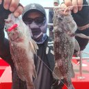 유명낚시 이미지