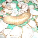 무주천마농장 이미지