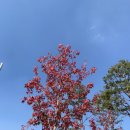 입곡 멀티플 센터 이미지