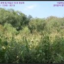 야미리진료소 이미지